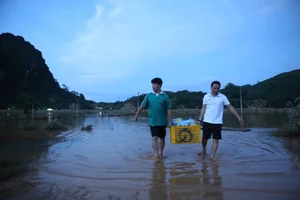 Vietnam Football Captain’s Wife Leads Flood Relief Efforts in Her Hometown - image 7