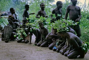 The Remarkable Life and Culture of the Short-Lived Tiny Tribe - image 5