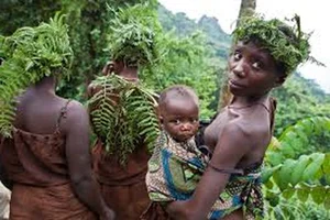 The Remarkable Life and Culture of the Short-Lived Tiny Tribe - image 1