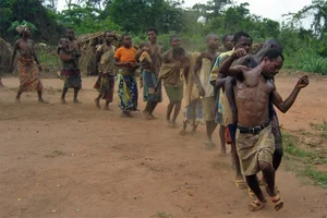 The Remarkable Life and Culture of the Short-Lived Tiny Tribe - image 6