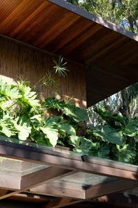 Sustainable Luxury: A 900m2 Villa Designed Around Ancient Trees - image 13