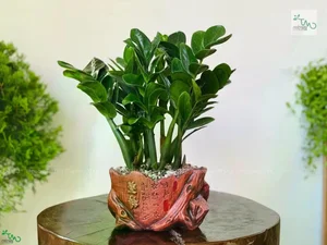 Large Indoor Plants Trend: Transform Your Home with Statement Greenery - image 1