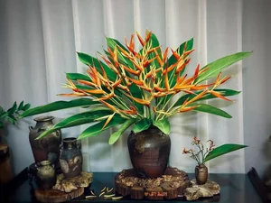Large Indoor Plants Trend: Transform Your Home with Statement Greenery - image 2