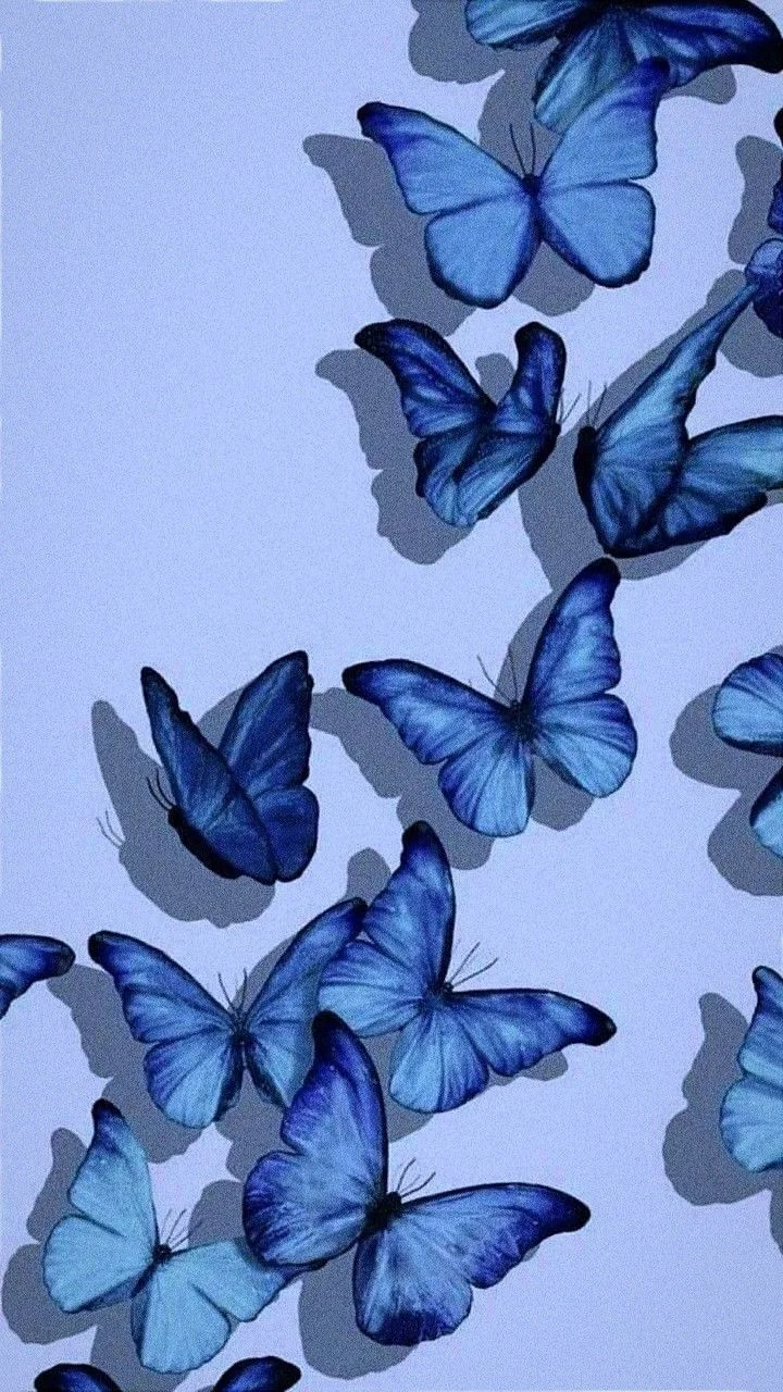 550+ Shimmering and Colorful Butterfly Wallpapers for Your Screen