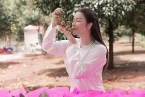 Inside Ly Nha Ky Mansion: The Most Poisonous Plant in Vietnam - image 3
