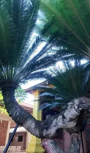 Inside Ly Nha Ky Mansion: The Most Poisonous Plant in Vietnam - image 6
