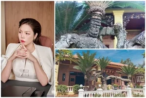 Inside Ly Nha Ky Mansion: The Most Poisonous Plant in Vietnam - image 8
