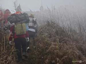 Breathtaking Frost Covers Vietnam's High Mountain Peaks - image 0