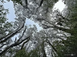 Breathtaking Frost Covers Vietnam's High Mountain Peaks - image 1