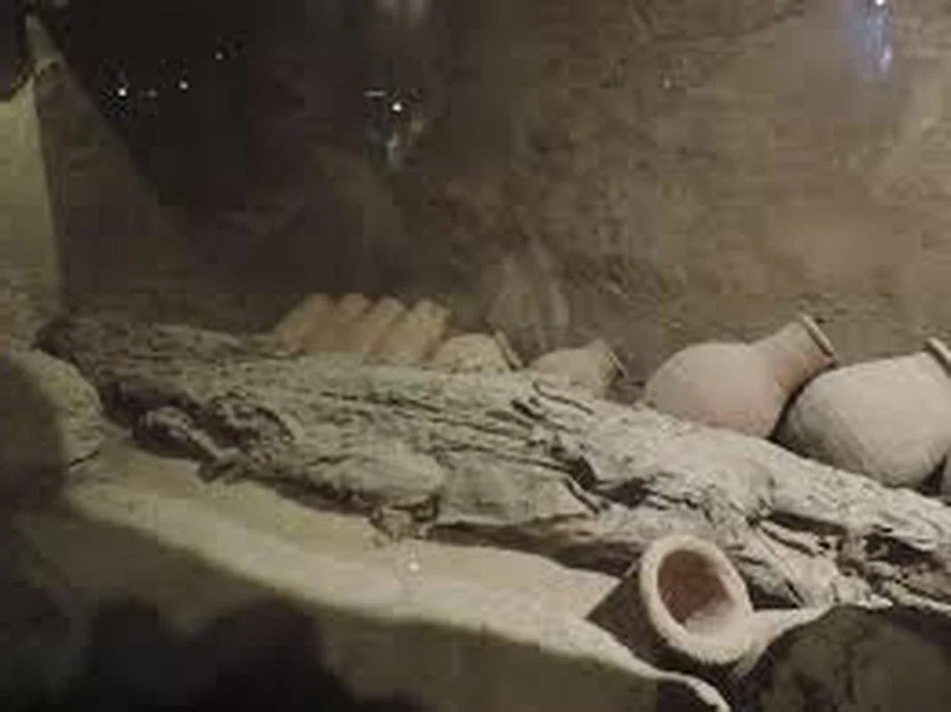 Ancient Secrets Revealed: The Discovery of a 3,000-Year-Old Crocodile Mummy