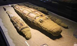 Ancient Secrets Revealed: The Discovery of a 3,000-Year-Old Crocodile Mummy - image 7