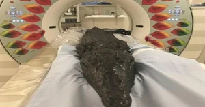 Ancient Secrets Revealed: The Discovery of a 3,000-Year-Old Crocodile Mummy - image 6