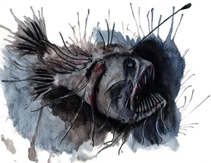 Rare Sighting of the 'Black Sea Devil' Anglerfish Stuns the Internet - image 6