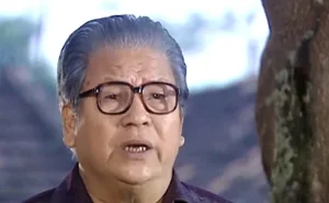 The Cast of Iconic Vietnamese Drama Bí Thư Tỉnh Ủy: Where Are They Now? - image 0
