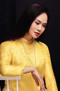 The Cast of Iconic Vietnamese Drama Bí Thư Tỉnh Ủy: Where Are They Now? - image 5