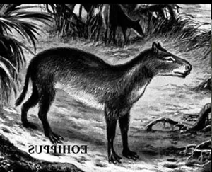 Uncovering the Surprising Secrets of Ancient Horse Ancestors - image 2