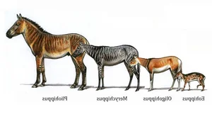 Uncovering the Surprising Secrets of Ancient Horse Ancestors - image 8