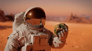 NASA Captures Stunning Footage of Solar Storm Bombarding Mars - image 0