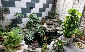 Inside Xuan Son's Family Home in Nam Dinh: The Roots of a Football Star - image 2