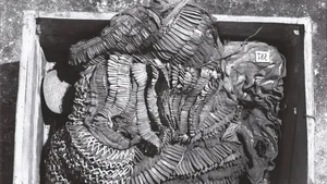 Most Famous Ancient Suits of Armor in History and Their Legends - image 0
