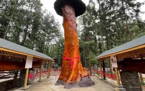 The Incredible Discovery: Worker Finds Rare Log Worth $27 Million - image 5