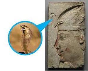 The Fascinating Cultural Symbolism of the Snake Mascot Across Different Global Cultures - image 6