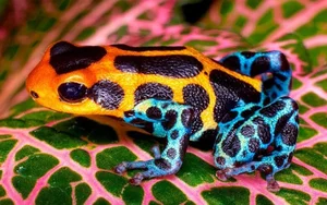 The Shocking Reality of Cannibalism in the Animal Kingdom Revealed - image 5
