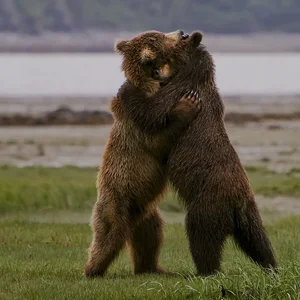 The Shocking Reality of Cannibalism in the Animal Kingdom Revealed - image 11