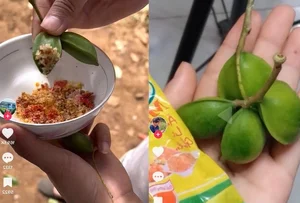 Wild Fruit Once Left to Rot Now Sells for Half a Million VND Per Kilogram - image 0