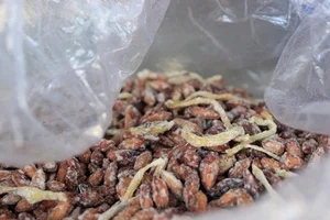 Wild Fruit Once Left to Rot Now Sells for Half a Million VND Per Kilogram - image 1