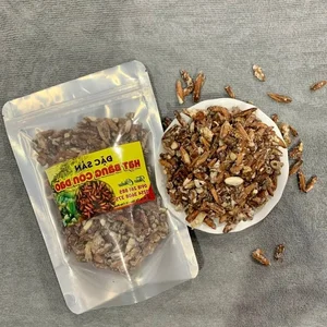 Wild Fruit Once Left to Rot Now Sells for Half a Million VND Per Kilogram - image 2