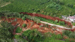 Finding Peace: Families in Gia Lai Relocate from 'Death Valley' to a Safer Home - image 3