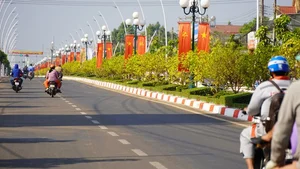 Vietnam’s Record-Breaking 6.4-Kilometer Yellow Mai Flower Road in Close-Up - image 6