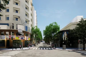 Exploring Little Japan in Ho Chi Minh City Before the Major Urban Renovation - image 5