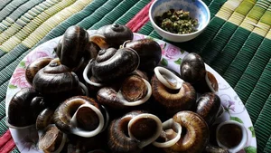 Top Culinary Specialties of Son La You Must Try Once - image 5