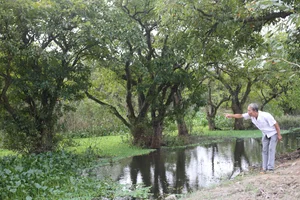 Discover the 400-Year-Old Ancient Loc Vung Forest: A Natural Treasure in Quang Binh - image 3