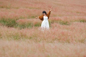Discover the Fairytale Beauty of Pink Grass Hill by Tuyen Lam Lake - image 4