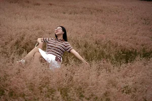 Discover the Fairytale Beauty of Pink Grass Hill by Tuyen Lam Lake - image 2
