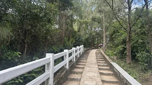 A Family's 9-Day Journey Through the Imperial Beauty of Hue - image 39