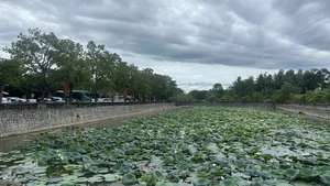 A Family's 9-Day Journey Through the Imperial Beauty of Hue - image 47