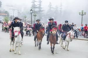 Experience the Enchanting Fansipan Rose Festival 2025 in Sapa: A Floral Masterpiece in the Heart of Vietnam - image 5