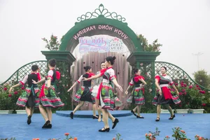 Experience the Enchanting Fansipan Rose Festival 2025 in Sapa: A Floral Masterpiece in the Heart of Vietnam - image 0