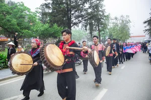 Experience the Enchanting Fansipan Rose Festival 2025 in Sapa: A Floral Masterpiece in the Heart of Vietnam - image 3