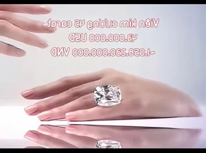 Inside the Multi-Billion VND Luxury Wardrobe of CEO Nguyen Phuong Hang - image 8