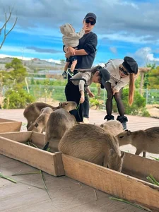 Nha Phuong Shares Heartwarming Family Moments at Luxury Da Lat Villa - image 2