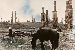 Rare World War II Photos: Unseen Historical Moments Revealed - image 5