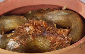 Why Rustic Traditional Fish Are Becoming High-Demand Delicacies for Lunar New Year - image 10