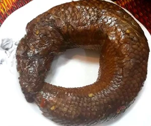 Why Rustic Traditional Fish Are Becoming High-Demand Delicacies for Lunar New Year - image 7