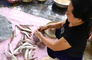 Why Rustic Traditional Fish Are Becoming High-Demand Delicacies for Lunar New Year - image 0