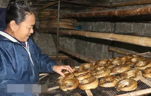 Why Rustic Traditional Fish Are Becoming High-Demand Delicacies for Lunar New Year - image 2